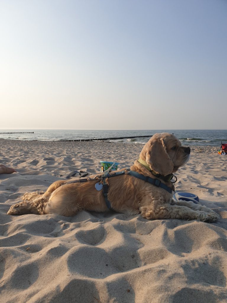 Bus4Fun Campingurlaub im Corona-Sommer 2020 mit der Familie 14 Bus4Fun